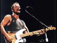 pochette album January stars