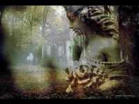 pochette album (n)ever