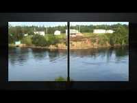 pochette album I could have gone right