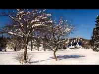 pochette album Man must hide to cry