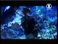 pochette album Show me the way