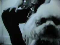 pochette album Be brave