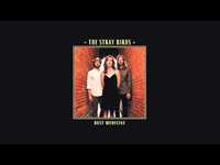 pochette album Feathers & bone