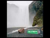 pochette album The sherry end