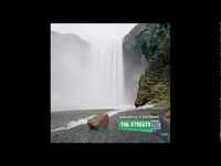 pochette album The way of the dodo