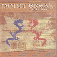 pochette album For the record