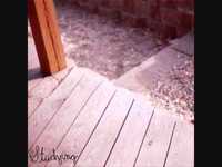 pochette album Wait, i'll get back to you