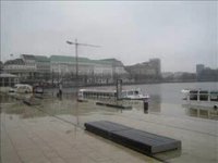 pochette album Ein baum