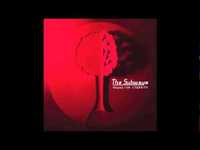 pochette album Lines of light