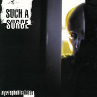 pochette album Fliegen