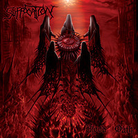pochette album Marital decimation
