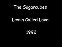 pochette album Leash called love