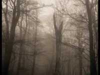 pochette album Elfstone