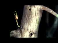 pochette album Razor