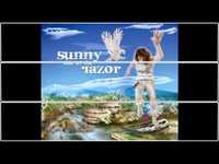 pochette album Shines