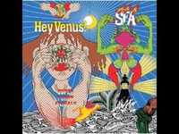 pochette album Carbon dating