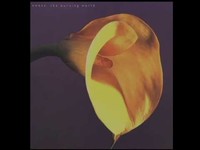 pochette album Let it come down