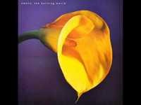 pochette album Mona lisa mother earth