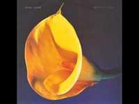 pochette album See no more