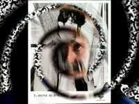 pochette album Shut it tight