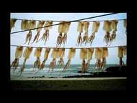 pochette album Sweet lullaby