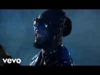 pochette album Reverse cowgirl