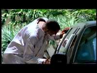 pochette album Summer love