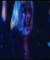 pochette album Shelter