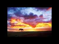 pochette album The gulf of knowledge