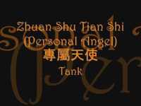 pochette album Zhuan shu tian shi