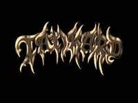 pochette album Grave new world