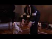 pochette album Big, big love