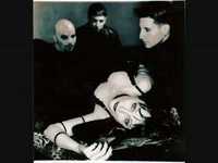 pochette album The river