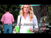 pochette album Welcome back grunwald