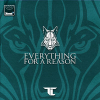 pochette album Everything for a reason