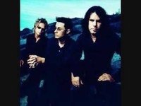 pochette album Army ants