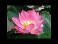 pochette album Spoken word