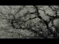 pochette album Watching what the rain blows in