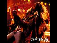 pochette album I shoot back