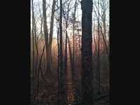 pochette album Sunrize (narrated version)