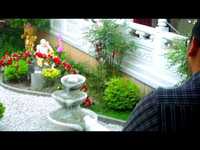 pochette album Maharishi dug the scene