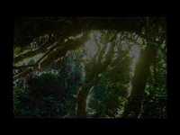 pochette album Ce que je veux