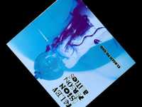 pochette album Younger than you know