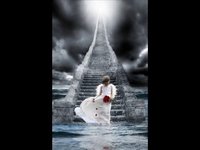 pochette album The elysian fields