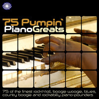 pochette album Shot gun boogie