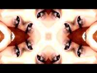 pochette album Lovely bitch