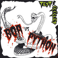 pochette album Boa vs. python