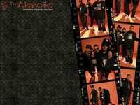 pochette album My dear