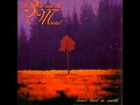 pochette album Vandring