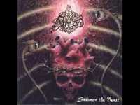 pochette album Feasting the remains of heaven